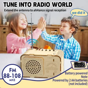 Science Kits Educational DIY Radio Building Set - Wooden