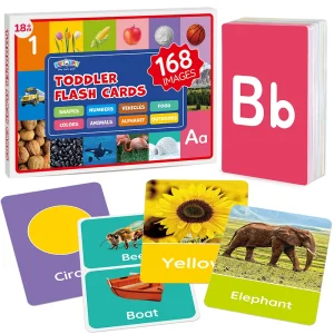 84 Double-Sided Educational Flashcards,