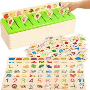 Wooden Montessori Sorting Toys
